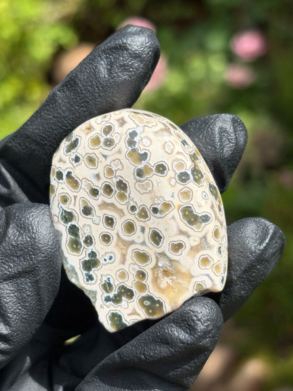Small Ocean Jasper Freeform - Druzy Sea Jasper - Polished